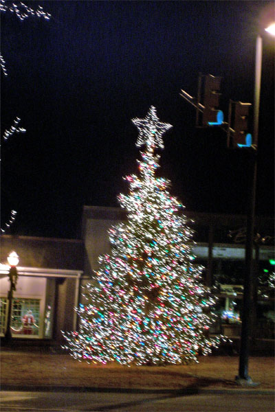 a-moving-christmas-tree.jpg