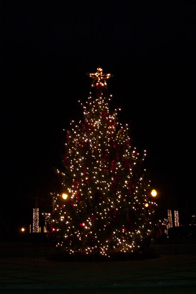 linn-park-christmas-tree.jpg